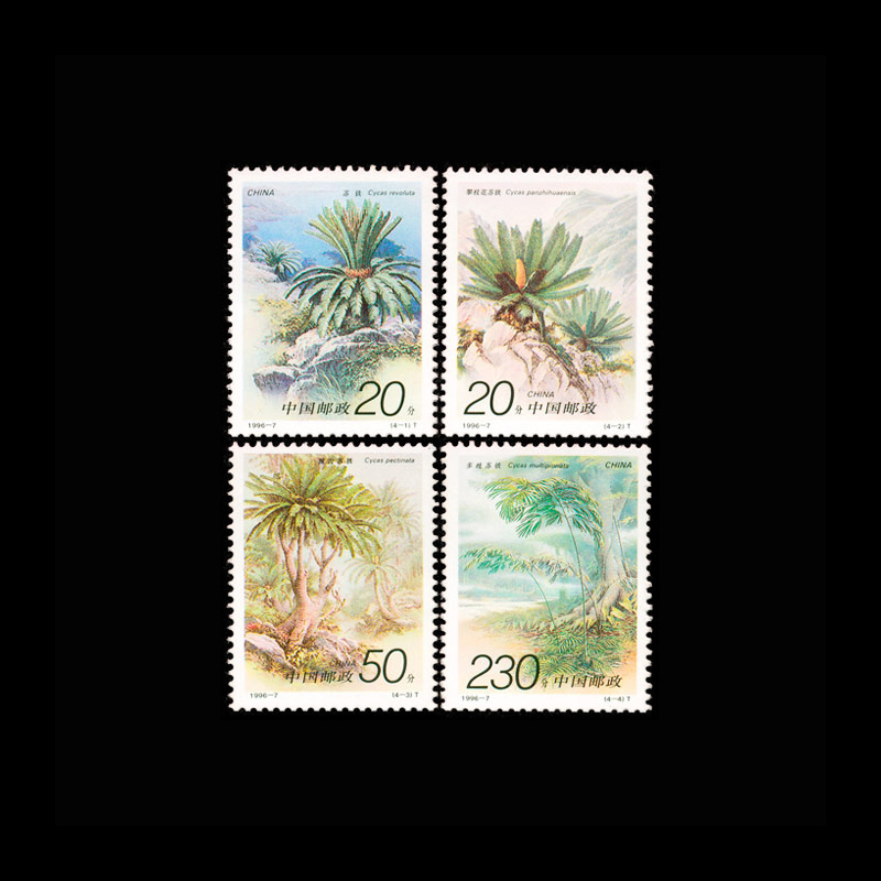 Vintage Collectible Stamps - Vintage 1996 Chinesische Cycas-Pflanzenstempel 4er-Set, MNH